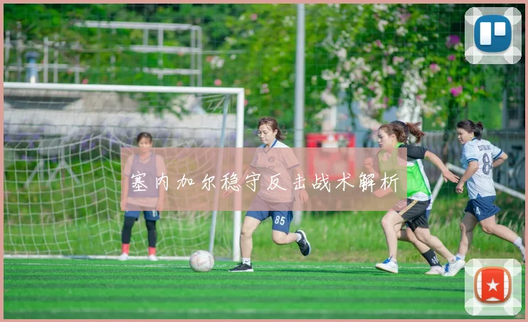 塞内加尔稳守反击战术解析