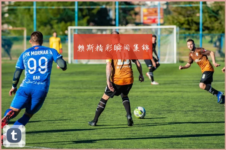 赖斯精彩瞬间集锦