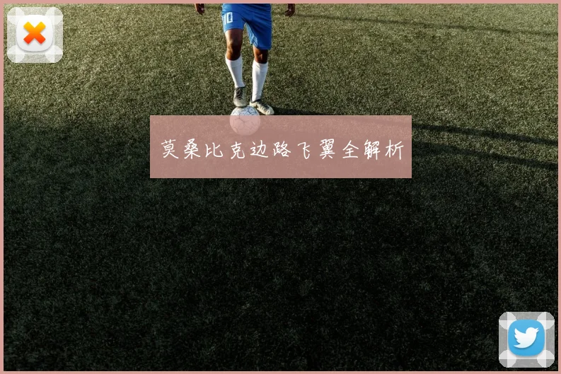 莫桑比克边路飞翼全解析