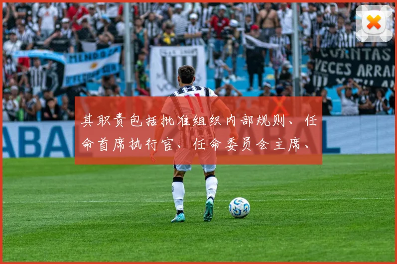其职责包括批准组织内部规则、任命首席执行官、任命委员会主席、委员、工作组和提名委员会的所有成员