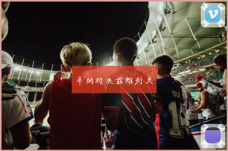 辛纳对决兹维列夫