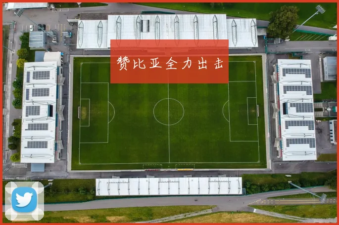 赞比亚全力出击