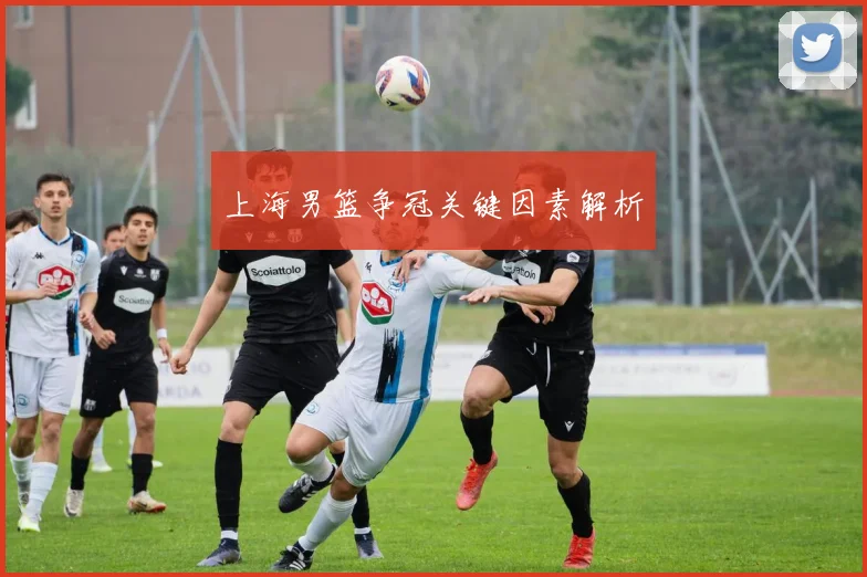 上海男篮争冠关键因素解析