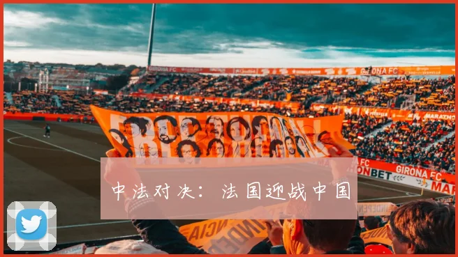 中法对决:法国迎战中国