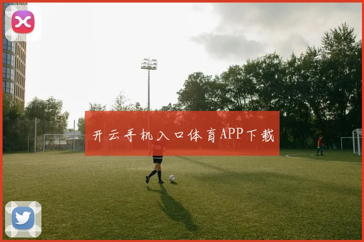 开云手机入口体育APP下载
