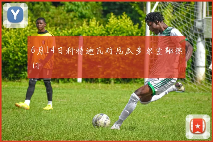 6月14日科特迪瓦对厄瓜多尔金靴热门