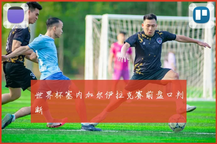 世界杯塞内加尔伊拉克赛前盘口判断