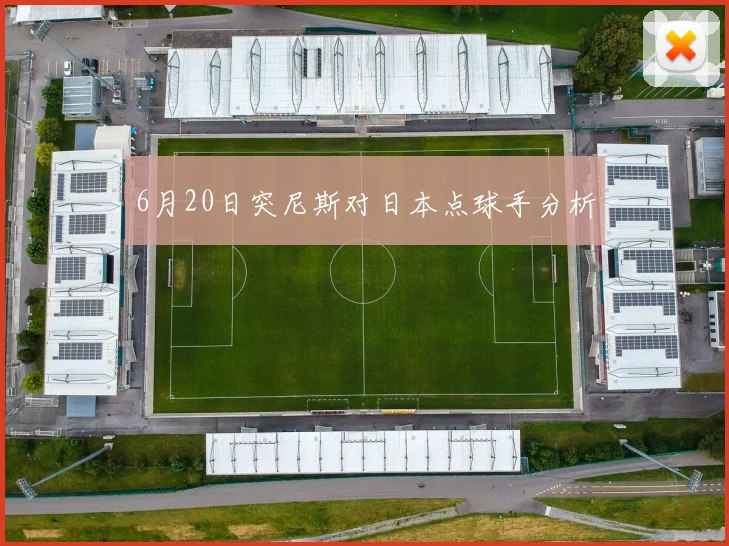 6月20日突尼斯对日本点球手分析