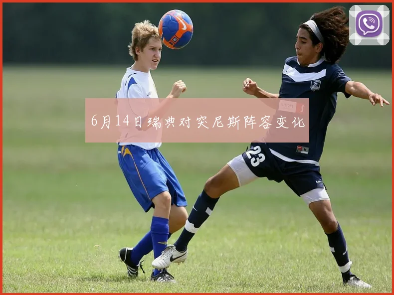 6月14日瑞典对突尼斯阵容变化