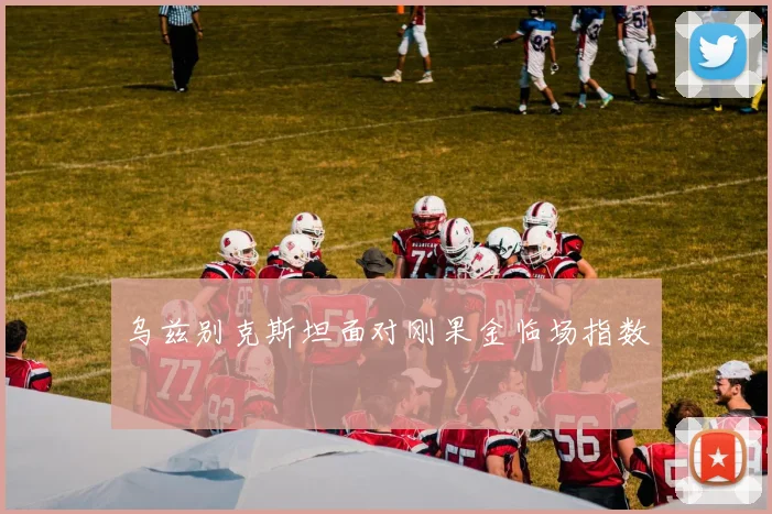 乌兹别克斯坦面对刚果金临场指数