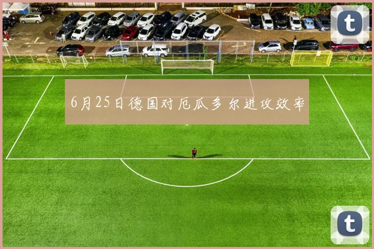 6月25日德国对厄瓜多尔进攻效率