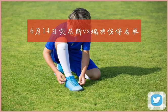 6月14日突尼斯vs瑞典伤停名单